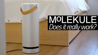 Molekule Air Purifier  A Real World Review [upl. by Forrester]