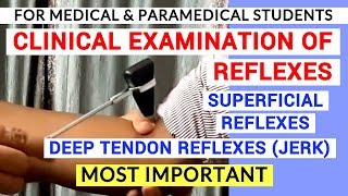 REFLEXES EXAMINATION  CLINICAL LAB  PHYSIOLOGY PRACTICALS [upl. by Aicitel]