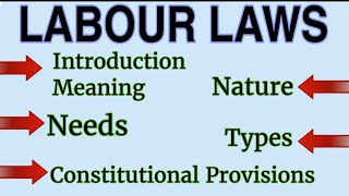 Labour Law Introduction Meaning Types Nature Need amp Constitutional Provisions of Labour Law [upl. by Filahk]