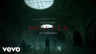 Wallners  Dracula Live at Donauhof Vienna  2021 [upl. by Helbonnah]