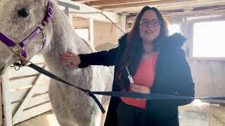 Administering IM Injection on a Horse [upl. by Pears]