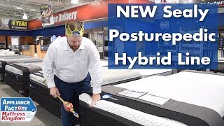 The NEW Sealy Posturepedic Hybrid Line Overview [upl. by Ahsimet]