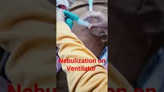 Nebulization on Ventilator Patient 🏥Medical Lifeshortsviralyoutubeshortstrending nursinglike [upl. by Segalman]