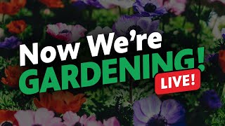 Now We’re Gardening LIVE Episode 1 [upl. by Dowlen]