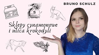 Sklepy cynamonowe i Ulica krokodyli  OMÓWIENIE TWÓRCZOŚCI BRUNO SCHULZA [upl. by Scrogan319]