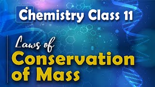 Law of Conservation of Mass  Basic Concepts of Chemistry  Chemistry Class 11 [upl. by Chemaram]