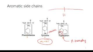 Determining Protonation State of Amino Acids [upl. by Materi]