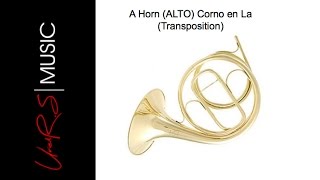 Instrument 71 A Horn Alto TRANSPOSITION  Corno en La Alto  Uriel Rodríguez S [upl. by Atalayah]