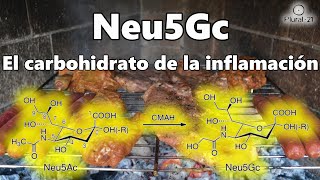 Neu5Gc La Molécula que causa enfermedades idiopáticas de origen autoinmune extracto [upl. by Concepcion]