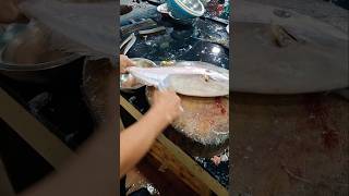 River leather jacket fishcutting freshwater shorts video [upl. by Acceber842]