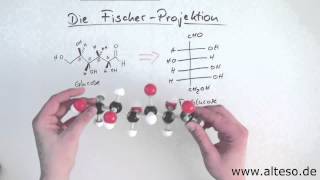 Die FischerProjektion [upl. by Thgiwd]