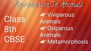 Oviparous and Viviparous Animals Metamorphosis Class 8th CBSE [upl. by Jessalin254]