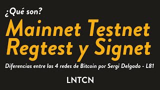 Mainnet Testnet Regtest y Signet ¿Qué son y cuál es su diferencia [upl. by Adriana]