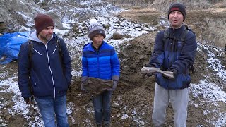 12yearold makes significant dinosaur discovery near Drumheller [upl. by Musette]