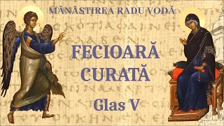 Fecioară curată glas 5  Mănăstirea Radu Vodă [upl. by Tavey]