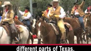 The Day That Horses Rule the Streets of Houston [upl. by Joslyn301]