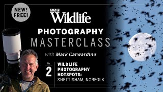 Episode Two Wildlife hotspots Snettisham Nature Reserve North Norfolk  Photography Masterclass [upl. by Kay]