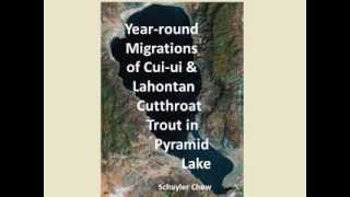 Yearround Migrations of the Cuiui and Lahontan Cutthroat Trout in Pyramid Lake [upl. by Rojas416]