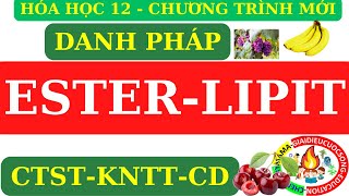 HÓA 12 MỚI  ESTER  LIPIT  GỌI TÊN CÁC CHẤT TRONG SGK CTSTKNTTCÁNH DIỀU CHƯƠNG TRÌNH MỚI [upl. by Sparhawk]