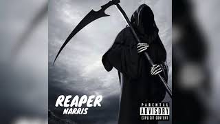 Narris  Reaper 1Matik Riddim Chemist Records [upl. by Selemas]