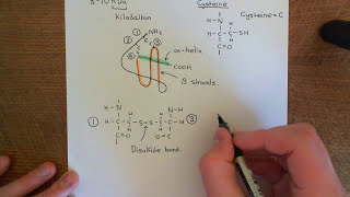 Introduction to Chemokines Part 1 [upl. by Fraser]