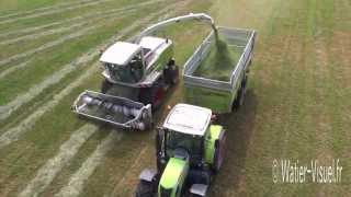 Chantier densilage de Ray grass italien avec une Ensileuse Claas Jaguar 890 [upl. by Adyeren]