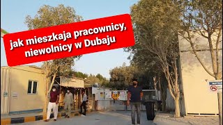 JAK MIESZKAJĄ NIEWOLNICY  PRACOWNICY w DUBAJU Cała prawda Dzień dobry Emiraty Niezależna tv [upl. by Yajnas]