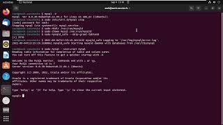 How to Reset the MySQL Root Password on Ubuntu [upl. by Okimik]