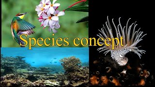 Species concept I Biologial I Morphological I Phylogenetic I Evolutionary I Phenetic I Polytypic [upl. by Fiore558]