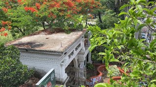 Dhaka College Campus Cinematic View  ঢাকা কলেজ  Beauty of Dhaka College Campus  DC [upl. by Josey503]