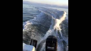 501 Microplus Boat run Mumbles [upl. by Niraj]