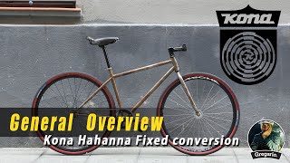 94 Kona Hahanna Raw FGFS conversion [upl. by Danit223]