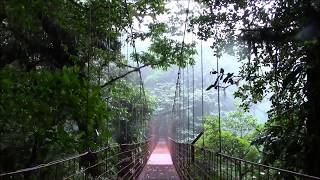 Monteverde Cloud Forest Reserve Costa Rica [upl. by Enileda158]