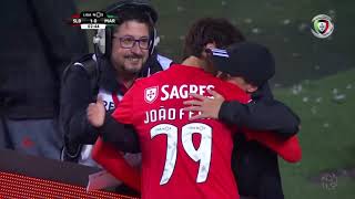 Goal  Golo João Félix Benfica 10 Marítimo Liga 1819 30 [upl. by Suoirrad]