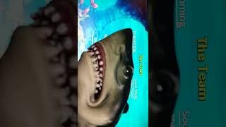 Shark puppet lightskin stare funny memes comedy shark shorts [upl. by Alyda]