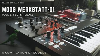 Moog Werkstatt01  A Compilation Of Sounds [upl. by Yllen]