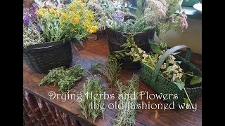 Drying Herbs and Flowers the Old Fashioned Way [upl. by Hazen178]