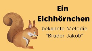 EIN EICHHÖRNCHEN  für Erzieher amp Pädagogen sprachförderung eichhörnchen emp mfe [upl. by Nagah]