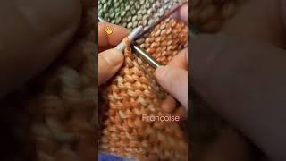 Tuto Tricot Relever les mailles sur du point Mousse facile pour bordure tricot shorts [upl. by Khanna19]