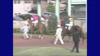 20110531 浦和競馬 ８レース パドック～本馬場入場 [upl. by Anauq]