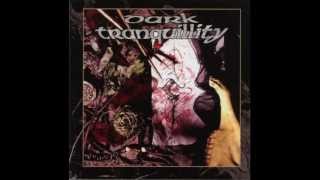 Dark Tranquillity Hedon [upl. by Menell]