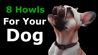 DOG HOWLING to Make Your Dog Howl  8 DOGS HOWLING and Barking Sound Effect [upl. by Lamonica258]