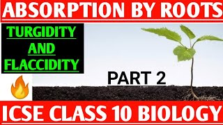 Part 2  Absorption by roots  Turgidity And Flaccidity  ICSE Class 10 Biology [upl. by Etrem]