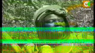 Life and Times of Wangari Maathai [upl. by Britte209]