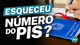 PERDEU O NÚMERO DO PIS VEJA COMO RECUPERAR USANDO SEU CPF [upl. by Eelydnarb650]