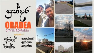 ඔරාඩියා නගරයේ සංචාරයක  A visit to the city of Oradea  Netupl🚕️🚗 [upl. by Buatti]