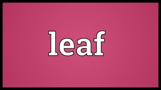 Leaf Meaning [upl. by Luiza]