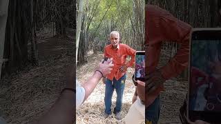 Jabalpur Bamboo plantation of Dendrocalamus strictus [upl. by Yenruogis]