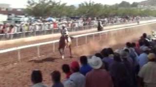 Horse racing in Chihuahua Mexico [upl. by Odella133]