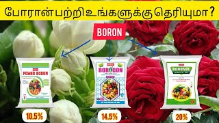 Boron  Micronutrient Fertilizer  Symptoms  Uses  Dose [upl. by Aivle162]